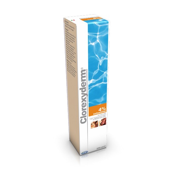 CLOREXYDERM SOLUZIONE 4% 1000 ML