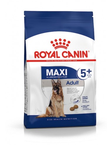 MAXI ADULT 5+ 15 Kg.