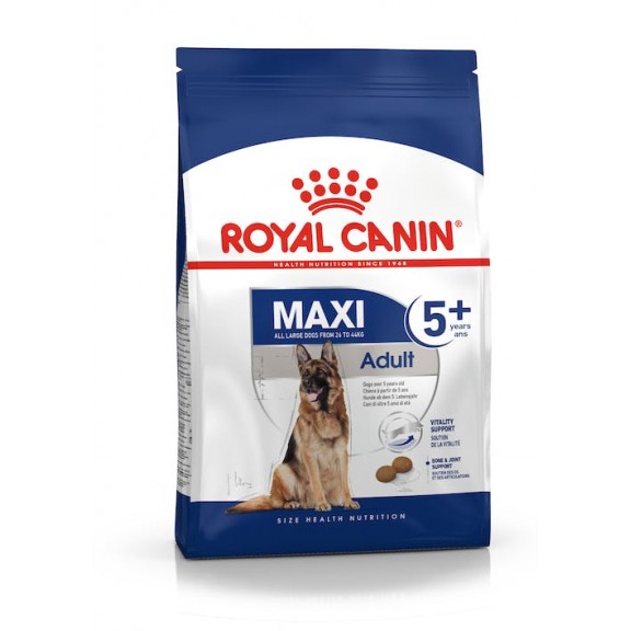MAXI ADULT 5+ 15 Kg.