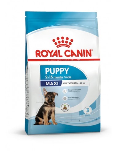 MAXI PUPPY KG. 15