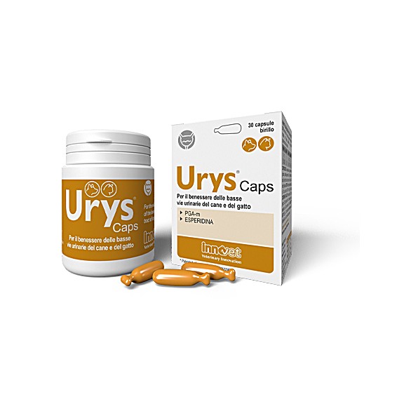 URYS CAPS 30 CPS