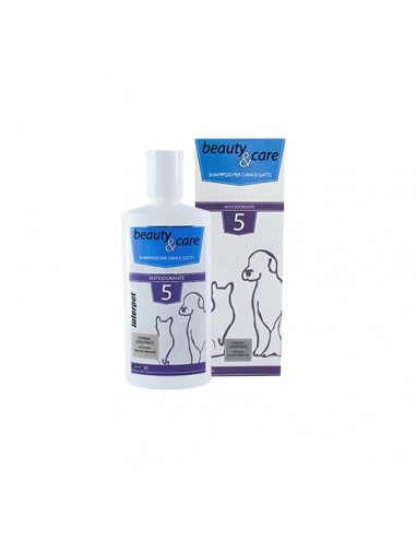 SHAMPOO ANTIODORANTE BEAUTY & CARE 250 ML