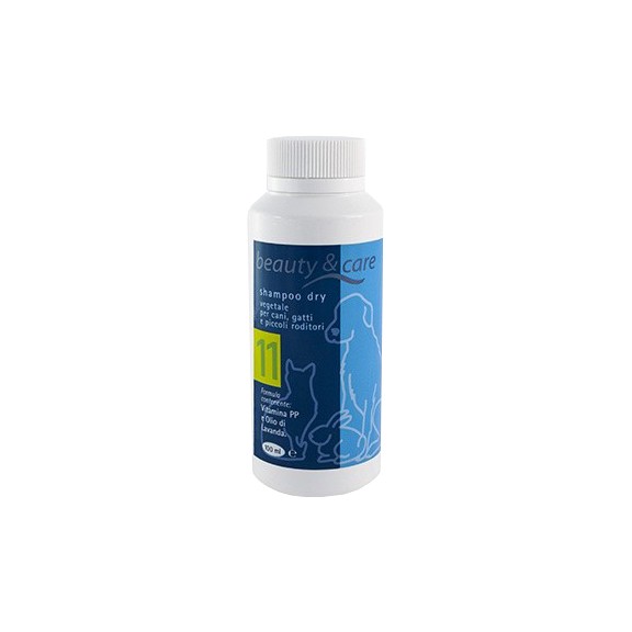 SHAMPOO SECCO BEAUTY & CARE 100 ML