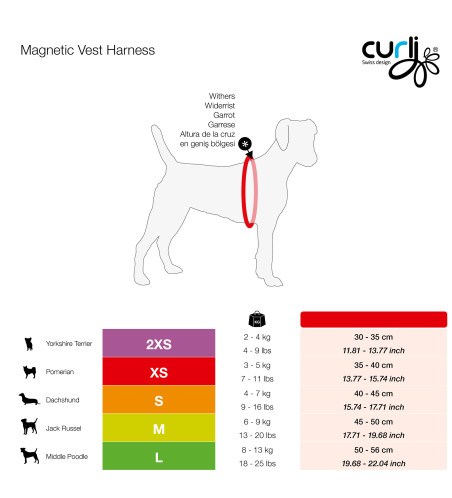 PETTORINA MAGNETIC VEST A.M. NERO S