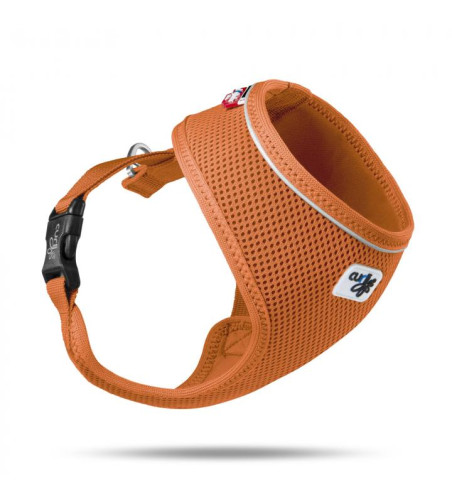 PETTORINA BASIC A.M. ARANCIONE S