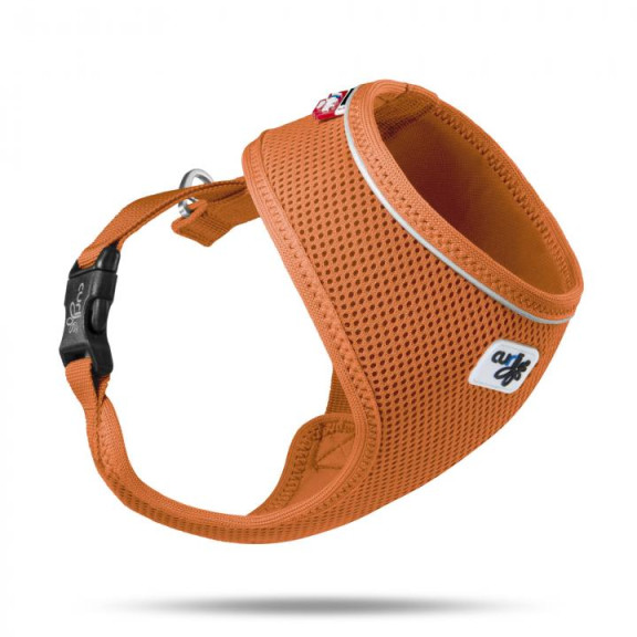 PETTORINA BASIC A.M. ARANCIONE L