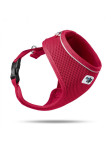 PETTORINA BASIC A.M. ROSSO S