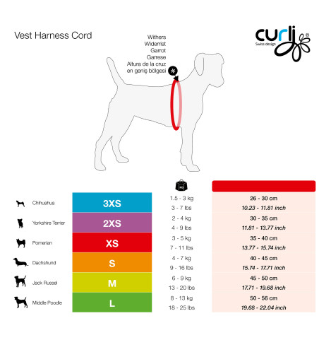 PETTORINA CORD MARRONE M