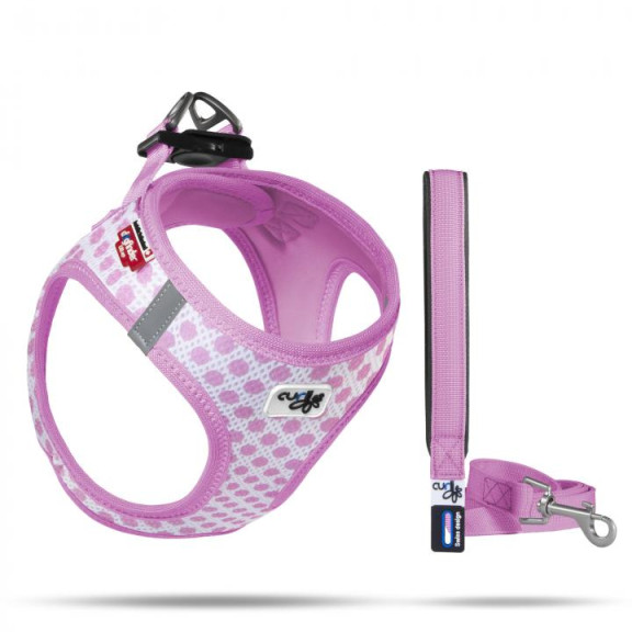 PETTORINA A.M. CERCHI ROSA CUCCIOLO M...