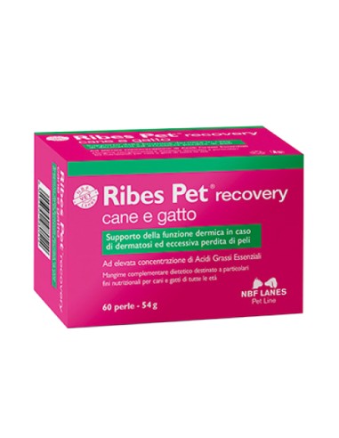 NBF RIBES PET RECOVERY 60 PERLE