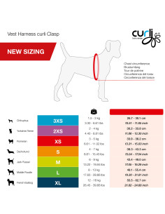 PETTORINA VEST NEW CLASP... 2