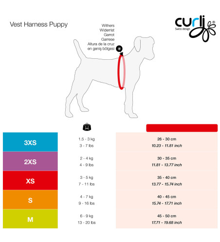 PETTORINA AIR-MESH QUADRI ROSA CUCCIOLO taglia M + GUINZAGLIO