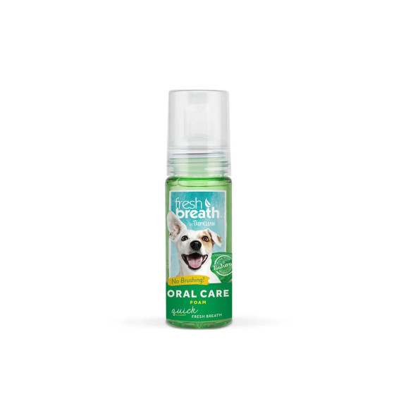 FRESH BREATH MINT FOAM 133 ml