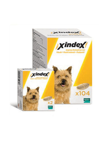 XINDEX 2 COMPRESSE MASTICABILI CANI