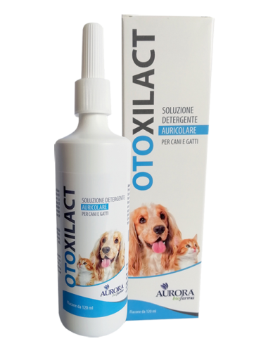 OTOXILACT DETERGENTE AURICOLARE 120 ML