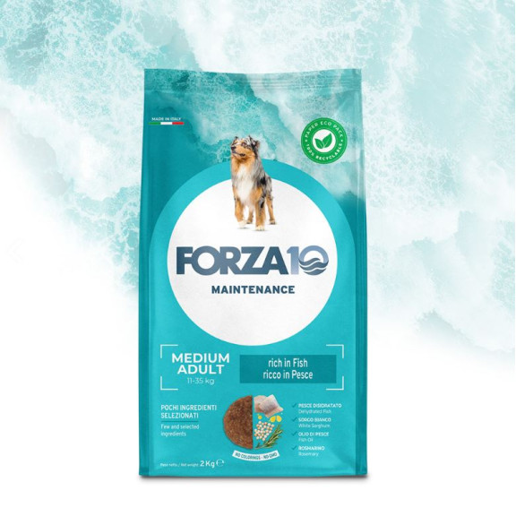 FORZA 10 MEDIUM ADULT MANTENIMENTO...