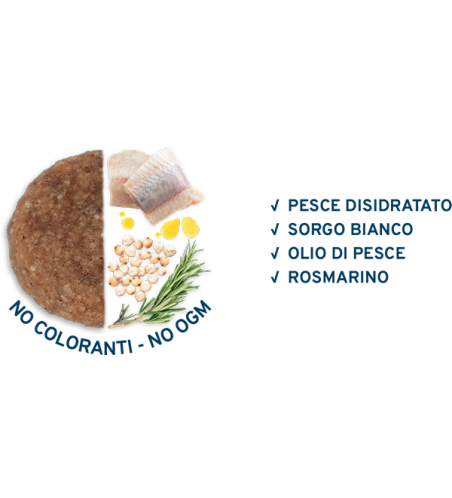 FORZA 10 MEDIUM ADULT MANTENIMENTO PESCE KG. 12 NEW