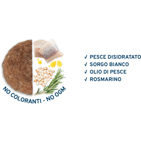 FORZA 10 MEDIUM ADULT MANTENIMENTO...