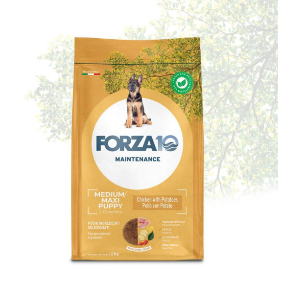FORZA 10 MEDIUM-LARGE PUPPY...