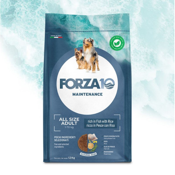 FORZA 10 ALL SIZE ADULT MANTENIMENTO...