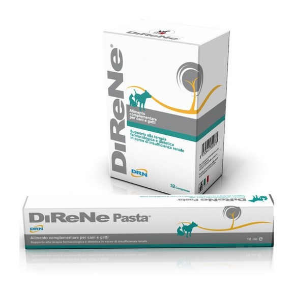 DIRENE PASTA 15 ML