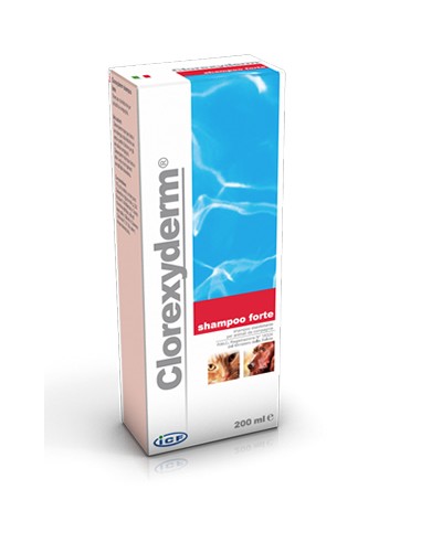 CLOREXYDERM SHAMPOO FORTE 200 ML