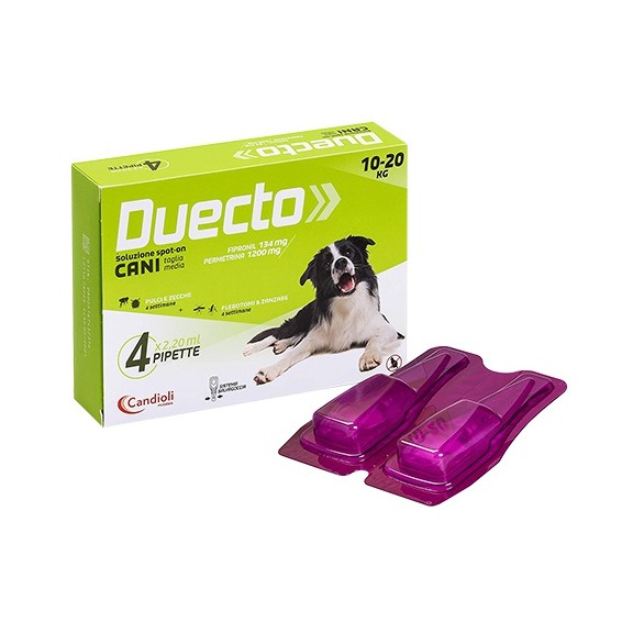 DUECTO 4 PIP. CANI 10 - 20 KG.