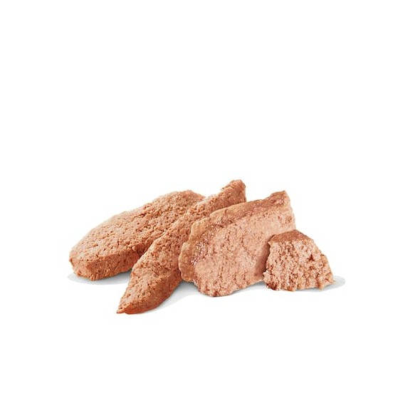 HYPOALLERGENIC CANE UMIDO V-DIET  400...