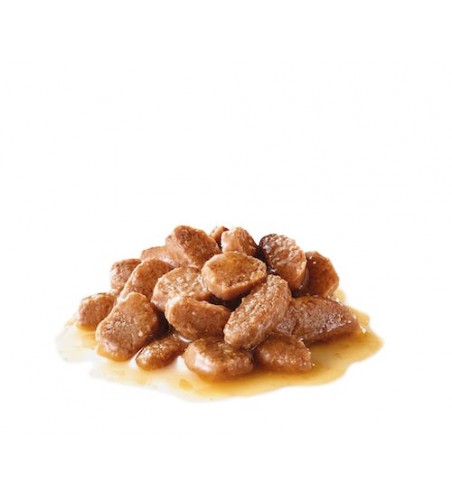 ULTRA LIGHT UMIDO (12 x 85g)  1,02 Kg.