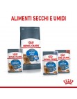 ULTRA LIGHT UMIDO (12 x 85g)  1,02 Kg.