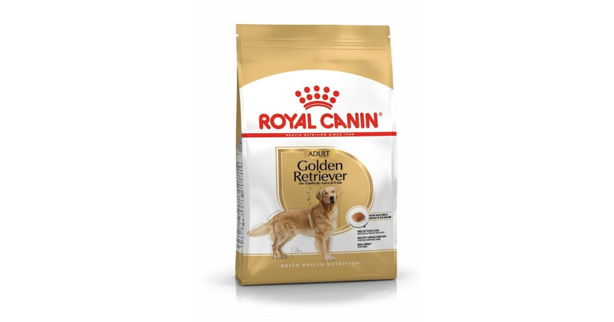 golden-retriever-adult-12-kg.jpg