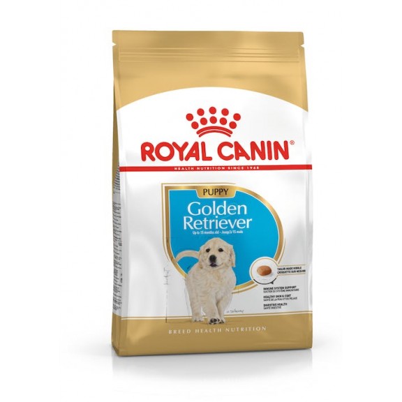 GOLDEN RETRIEVER PUPPY  12 Kg