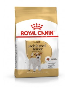 JACK RUSSELL ADULT  1,5 Kg.