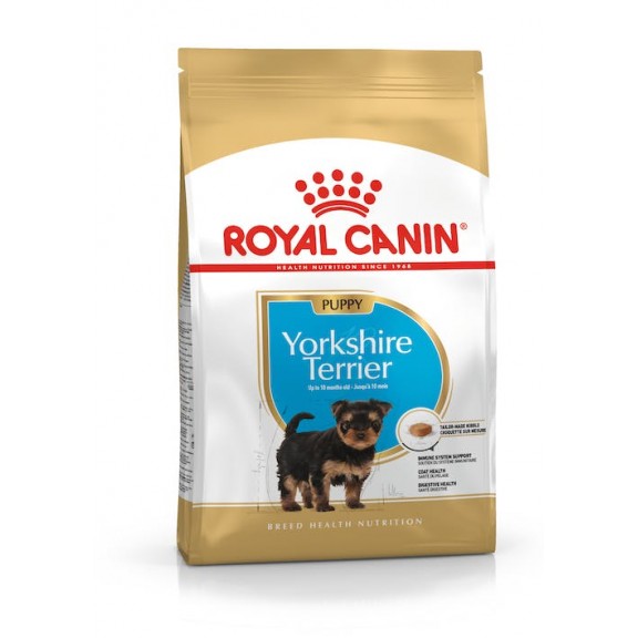 YORKSHIRE PUPPY  1,5 Kg.