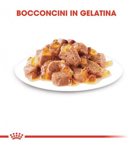 INSTINCTIVE IN GELATINA (12 x 85g)  1,02 Kg.