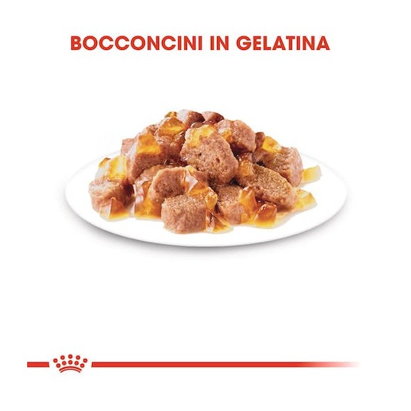 INSTINCTIVE IN GELATINA (12 x 85g)...