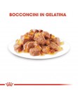 INSTINCTIVE IN GELATINA (12 x 85g)  1,02 Kg.
